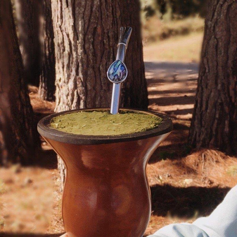 BOMBA DE CHIMARRÃO DE 25CM EM AÇO INOX COM DETALHE FOLHEADO A PALÁDIO